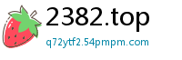 2382.top